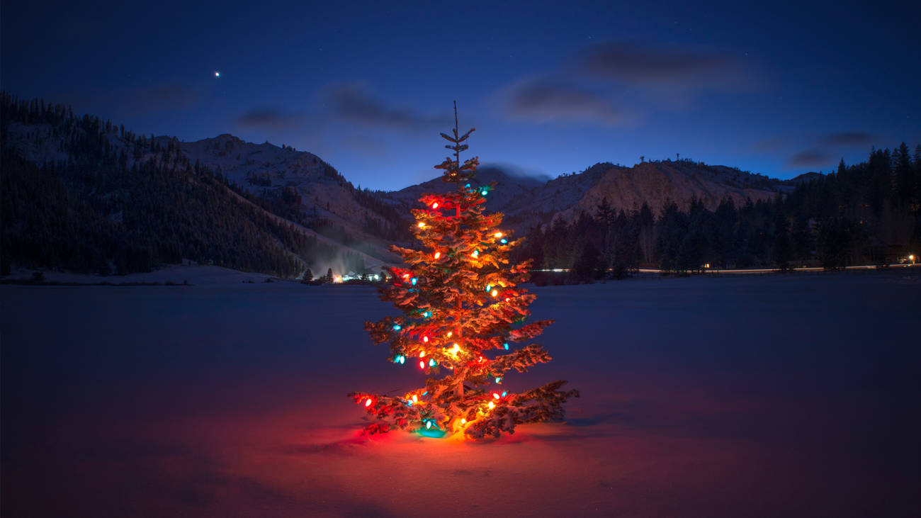 A Christmas Tree is lit up in Olympic Valley at the base of Squaw.