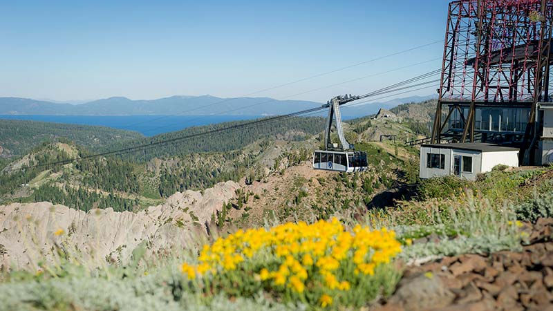 The Aerial Tram in the summer at High Camp