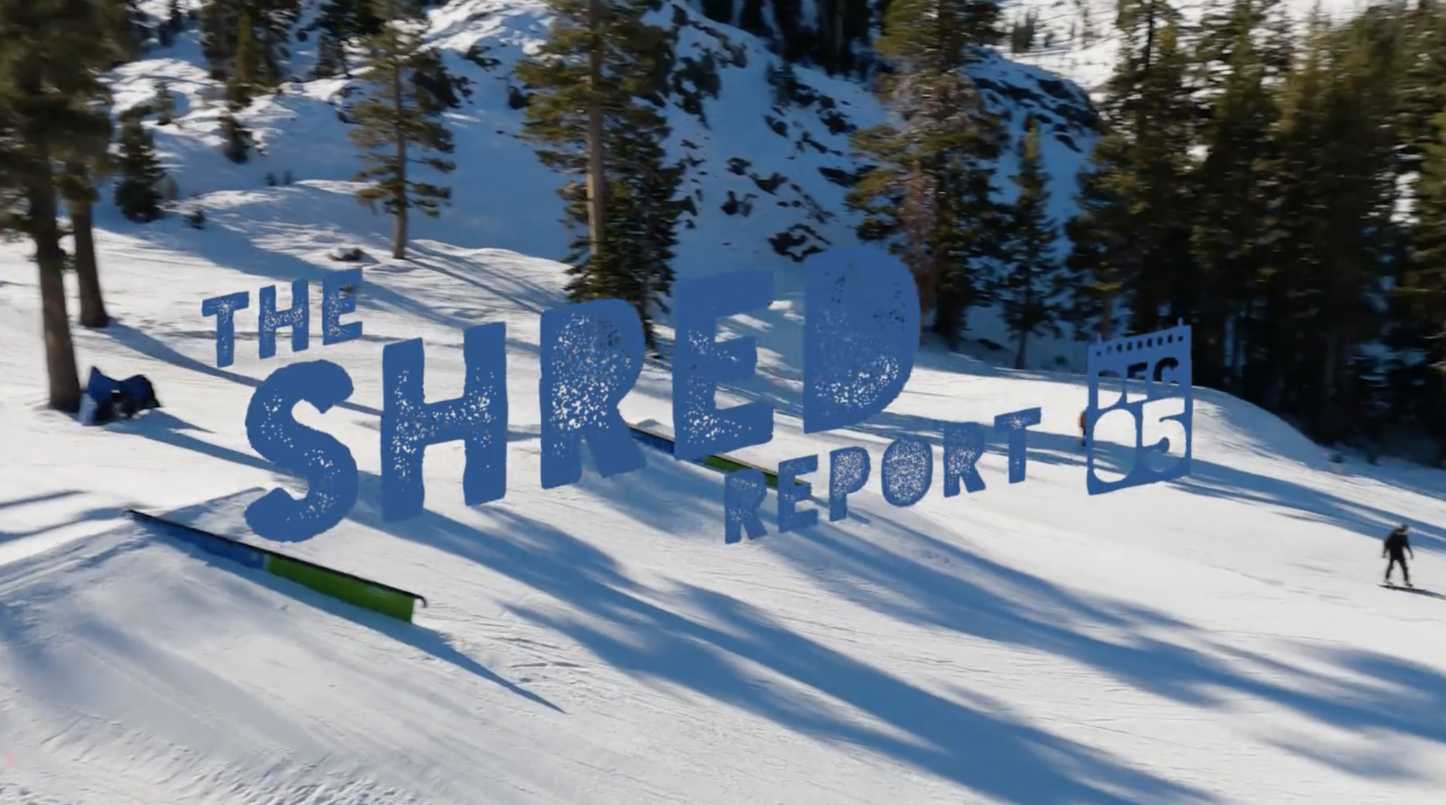 Shred Report December 5, 2020