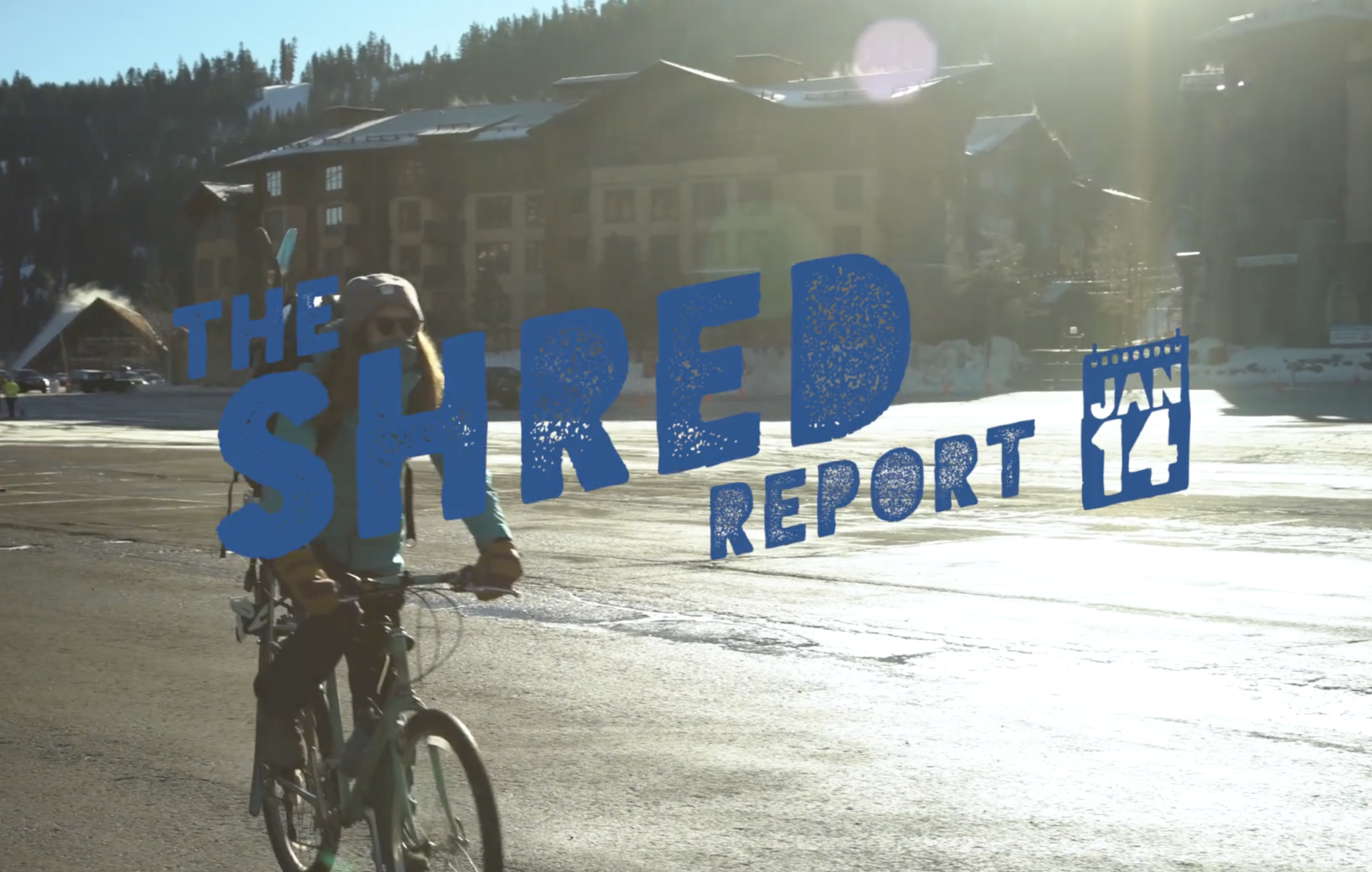 Shred Report January 14