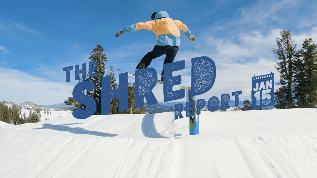Shred Report - January 15