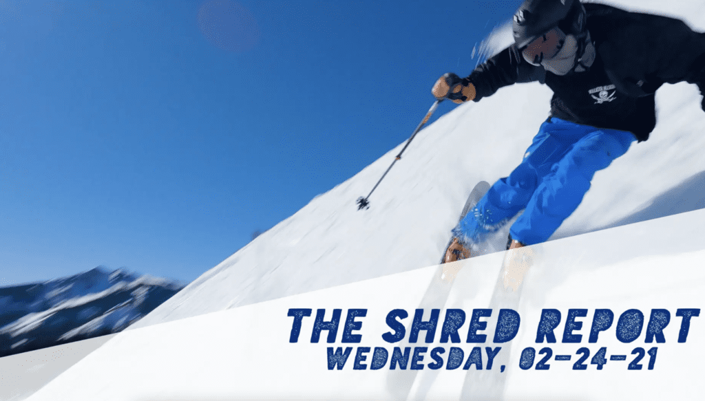 Shred report February 24