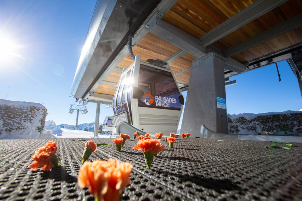 Flowers on the ground in front of the Base to Base Gondola.