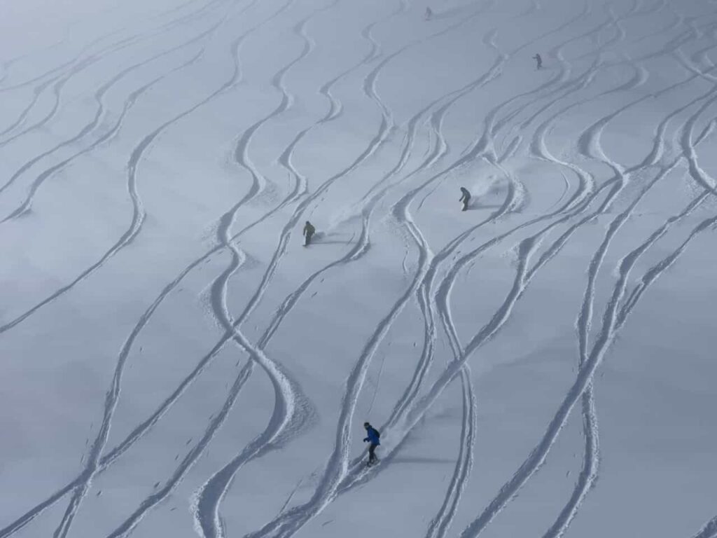 Skiers making fresh tracks in deep snow down Siberia