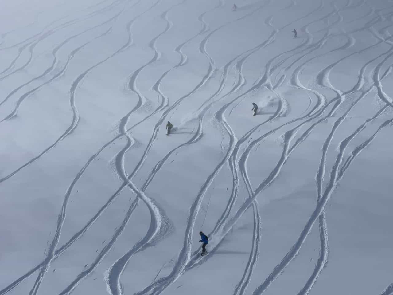 Skiers making fresh tracks in deep snow down Siberia