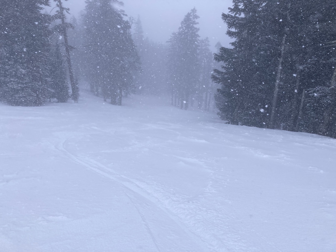 Feb 22: Fresh Snow At Alpine And Countdown To Stifel Palisades Tahoe ...