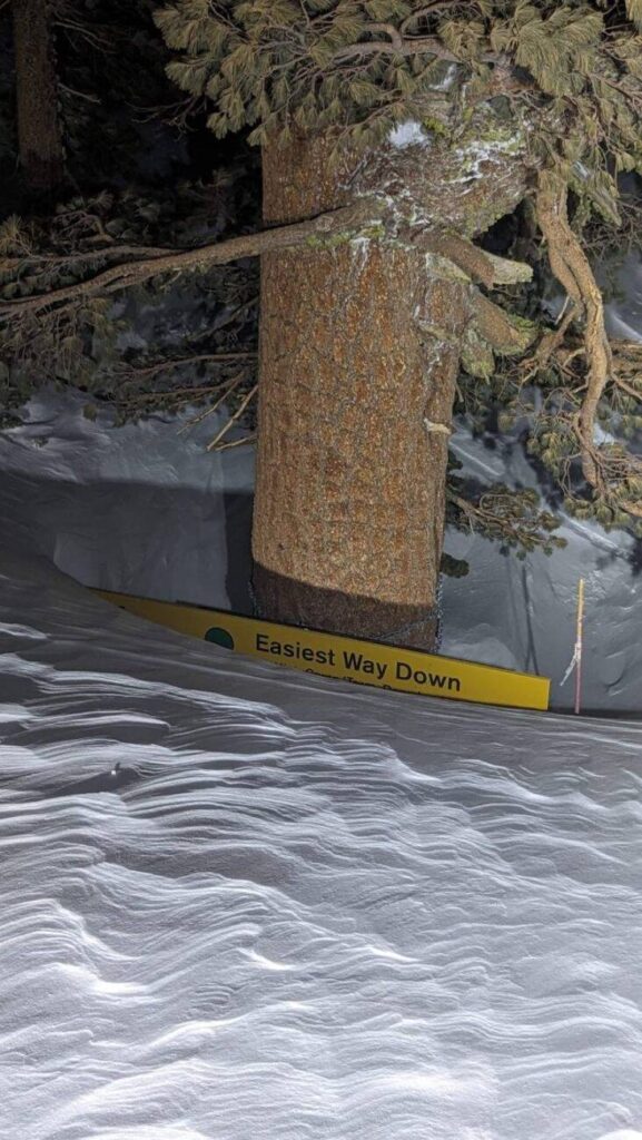 Directional signage buried in a tree well on the upper mountain.