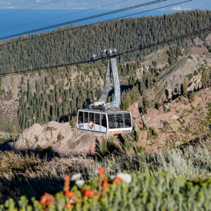 Summer High Camp Tram with wildflowers.