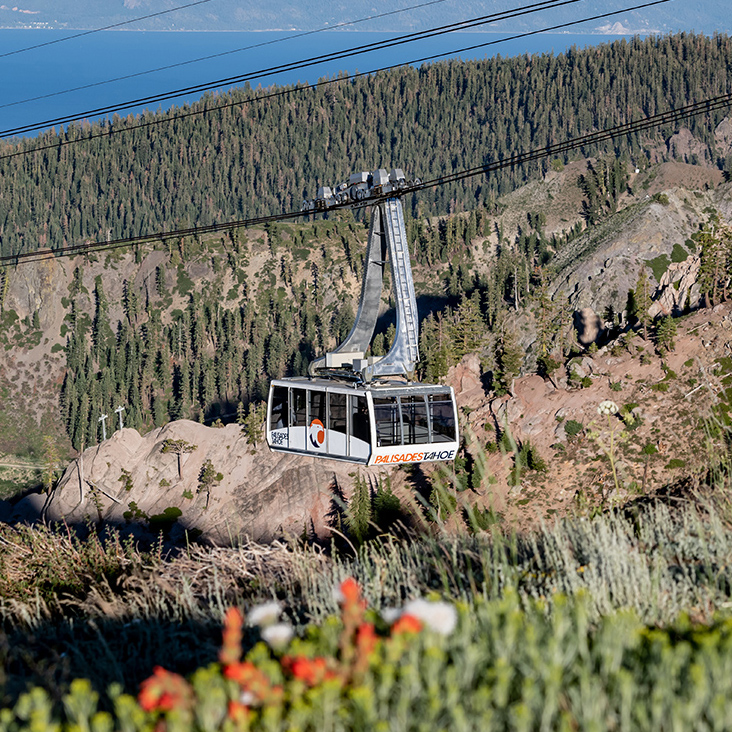 The Aerial Tram climbs 2,000 feet at Palisades Tahoe. 