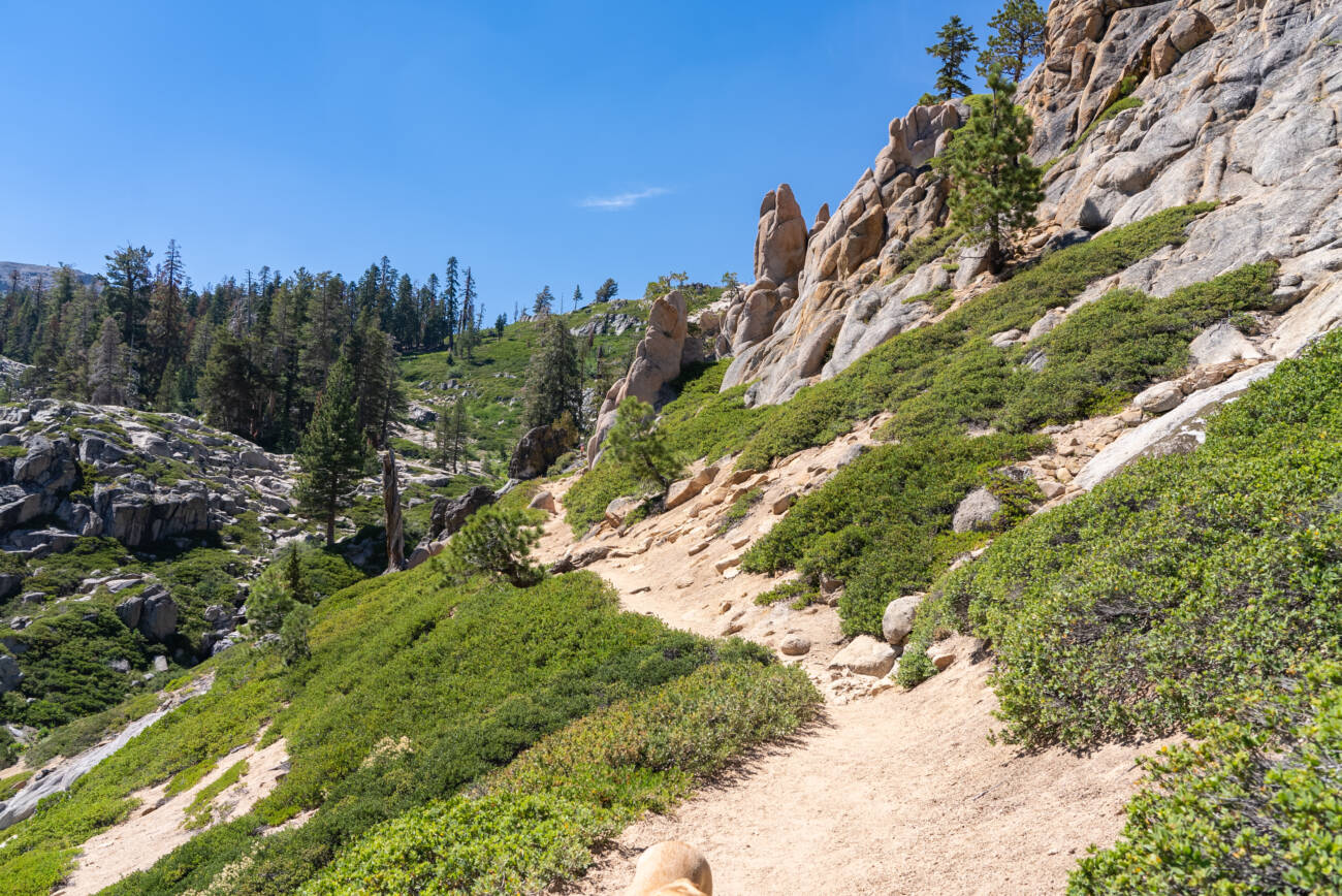 The trail leading to the Five Lakes in the wilderness near Alpine.