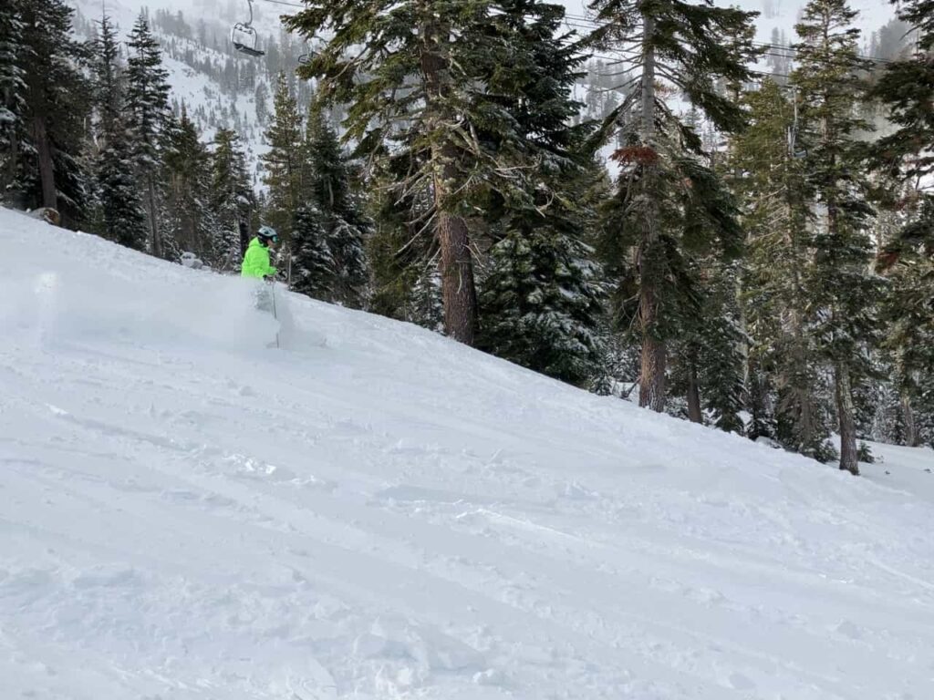 skier in fresh powder