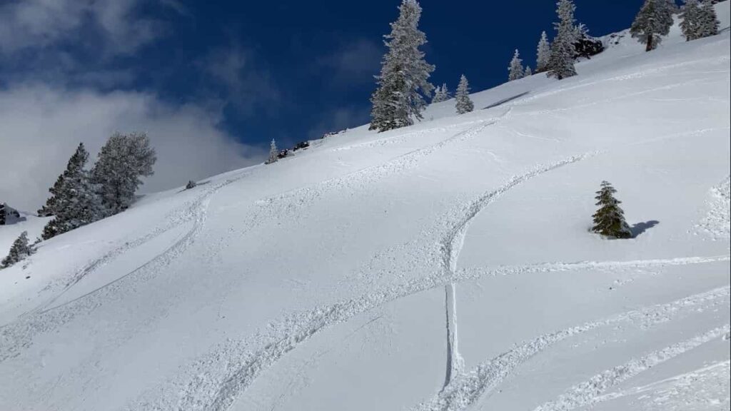 backside snowy ski slope