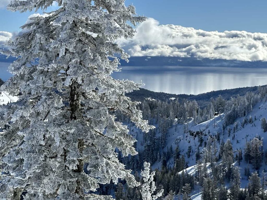 view of Lake Tahoe from Alpine