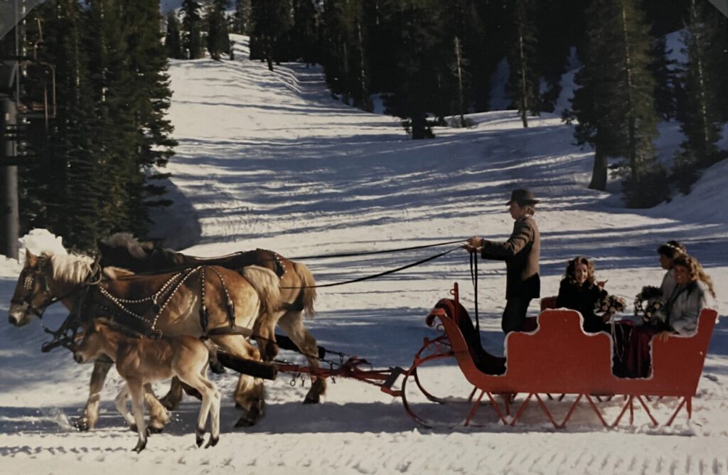 Chip and Pam Lambert in a sleigh on their wedding day at Alpine.