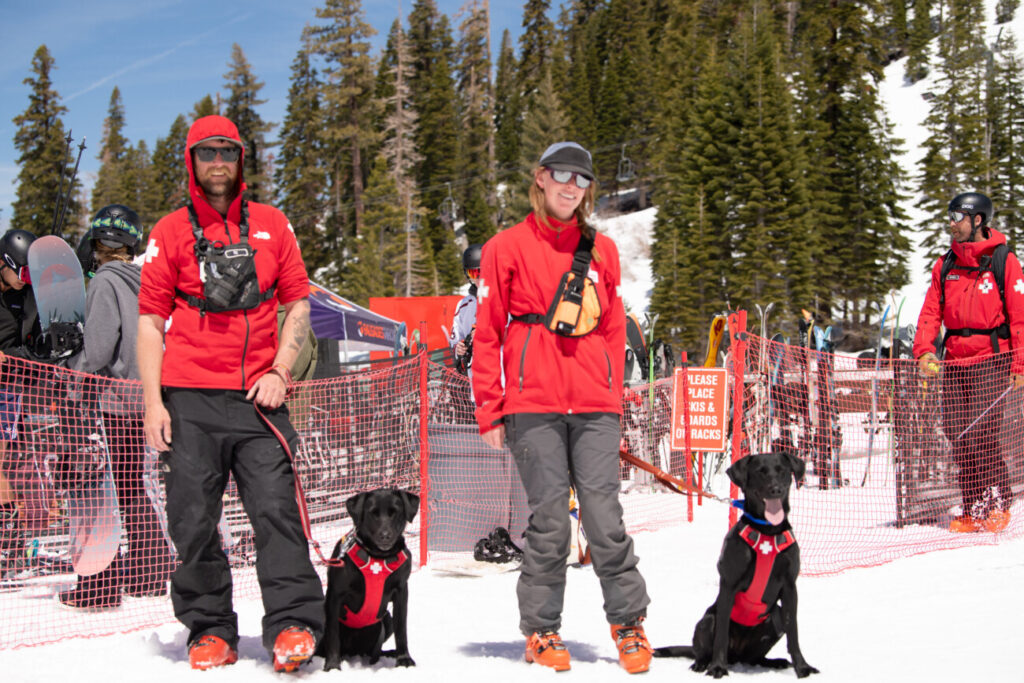 Two Patrollers and their dogs at Snow Golf.