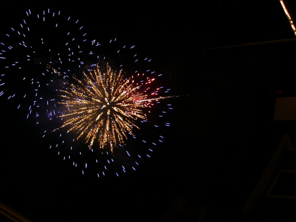 Fireworks in the night sky