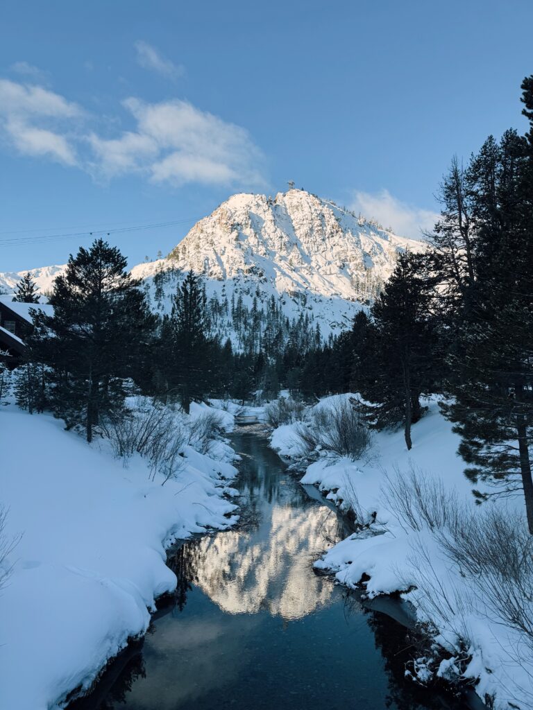 Scenic photo of Tram Face