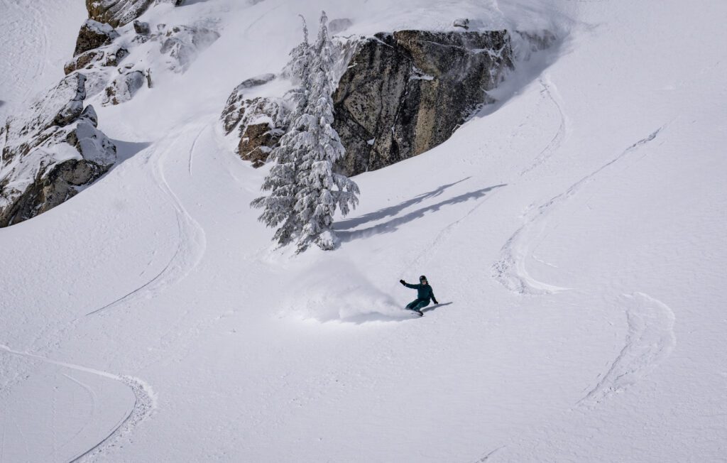 MIa Jones shredding powder