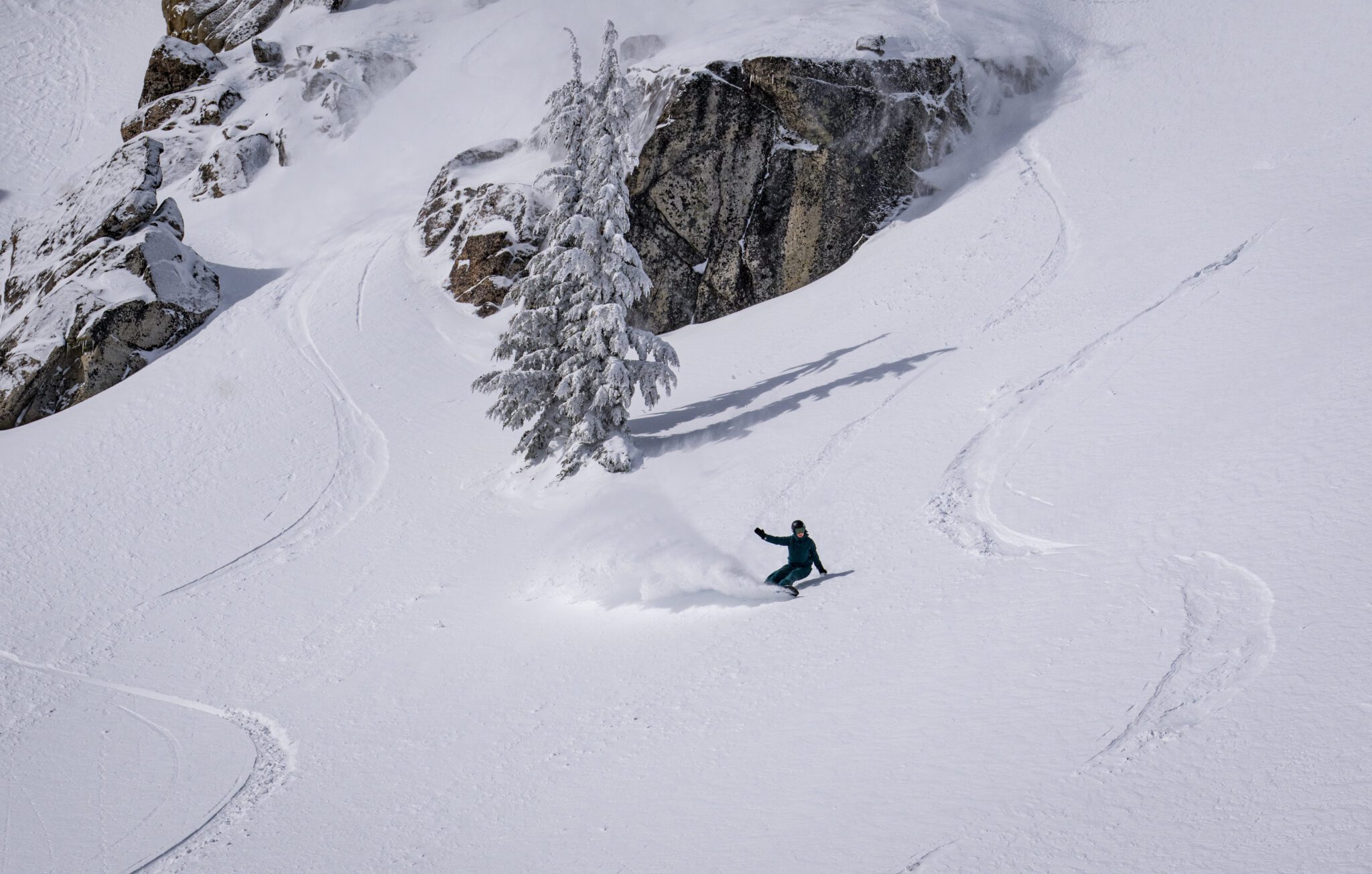 MIa Jones shredding powder