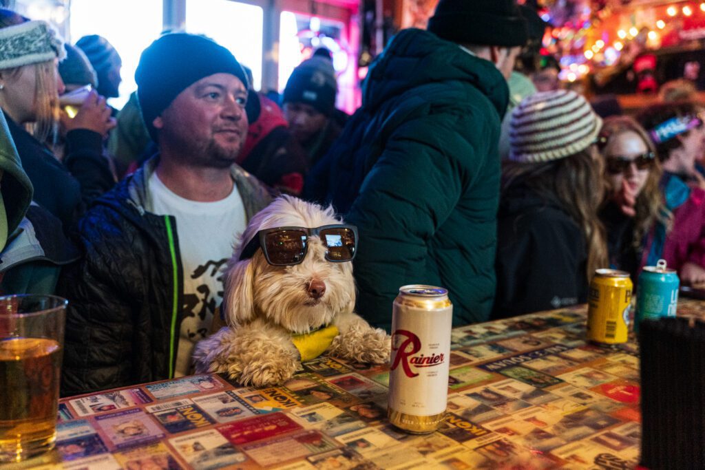 Dog at The Slot Bar
