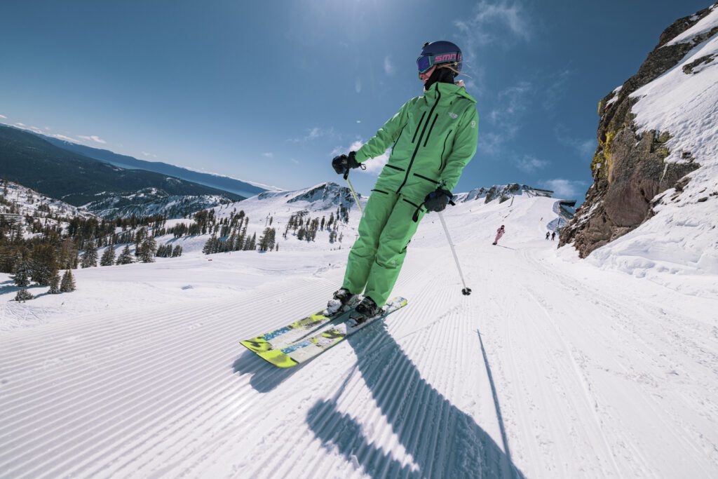 Sibo ridge groomer