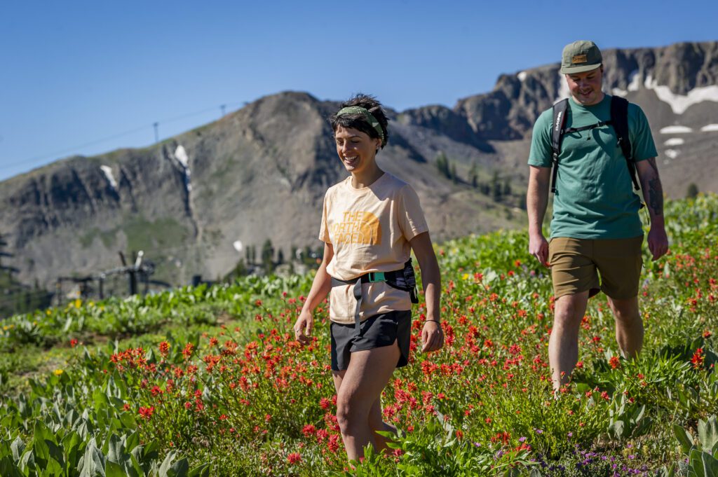 Naturalist Walks
