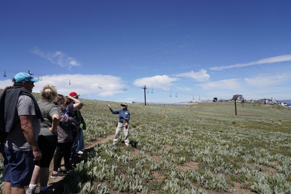 Naturalist Walks at High Camp